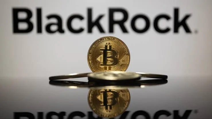 BlackRock планує запустити PBIT із частковим захистом від падіння біткоїна